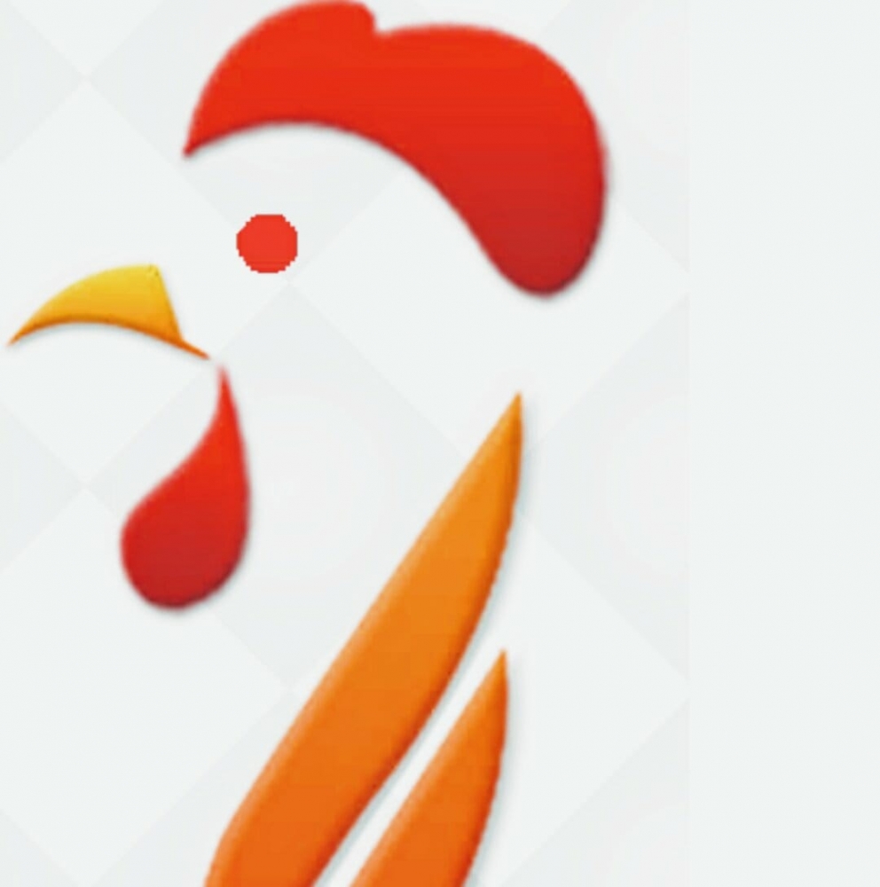 Laziz Broast & Mix Grill